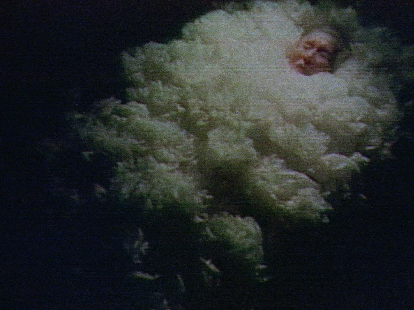 Cinema Rouge et Noir