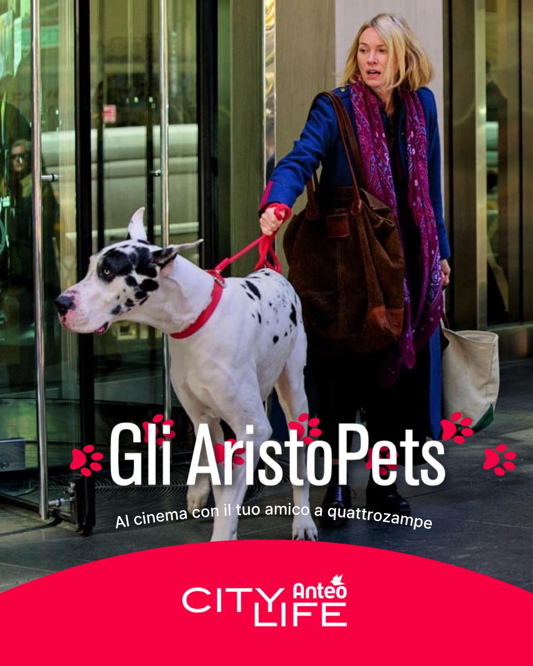 Cinema Anteo CityLife