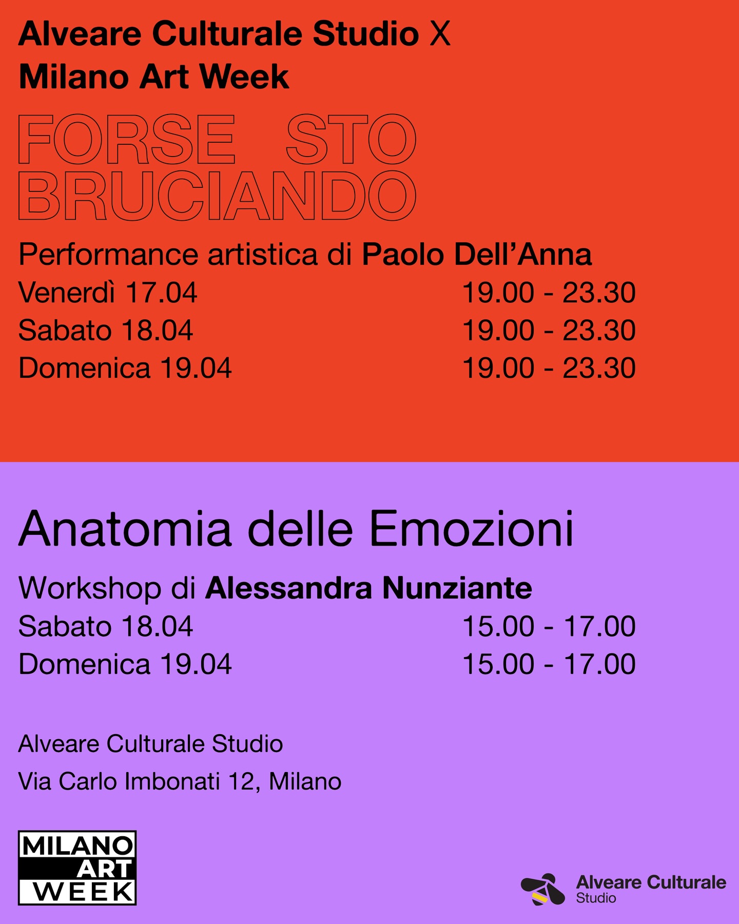 Alveare Culturale Studio