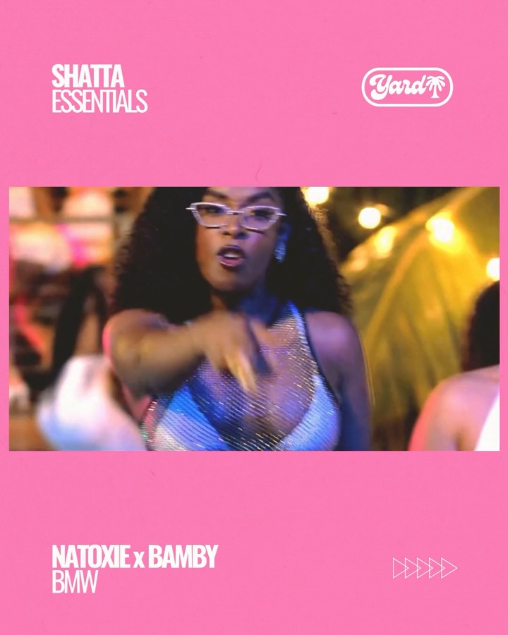 Downtown Yard randagi