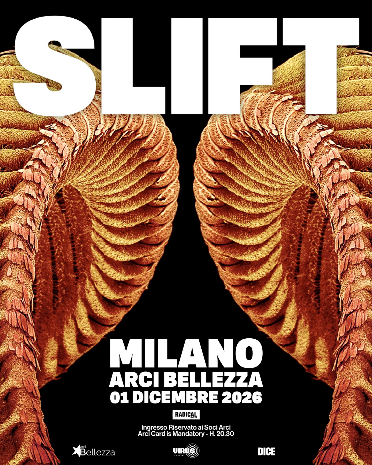 Circolo ARCI Bellezza