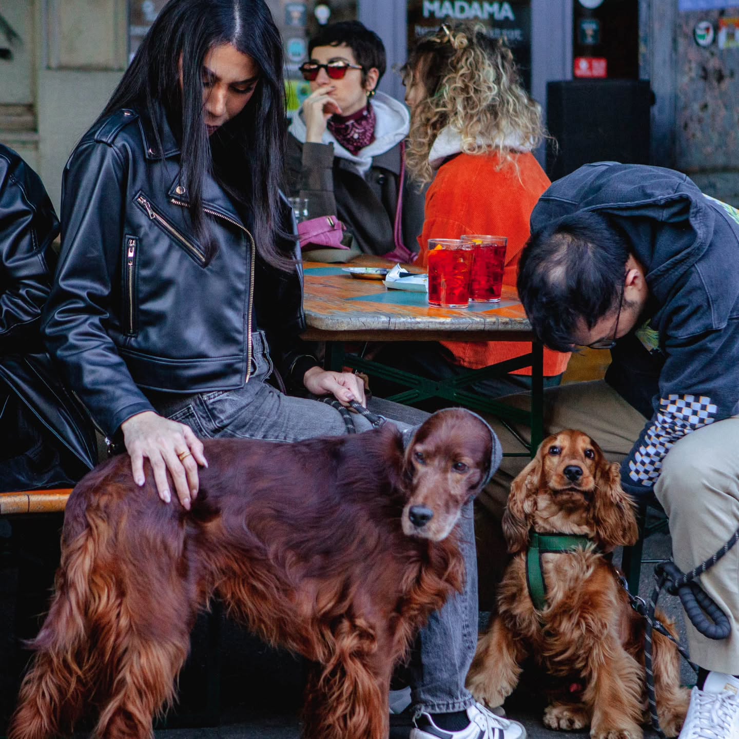 Madama Hostel & Bistrot