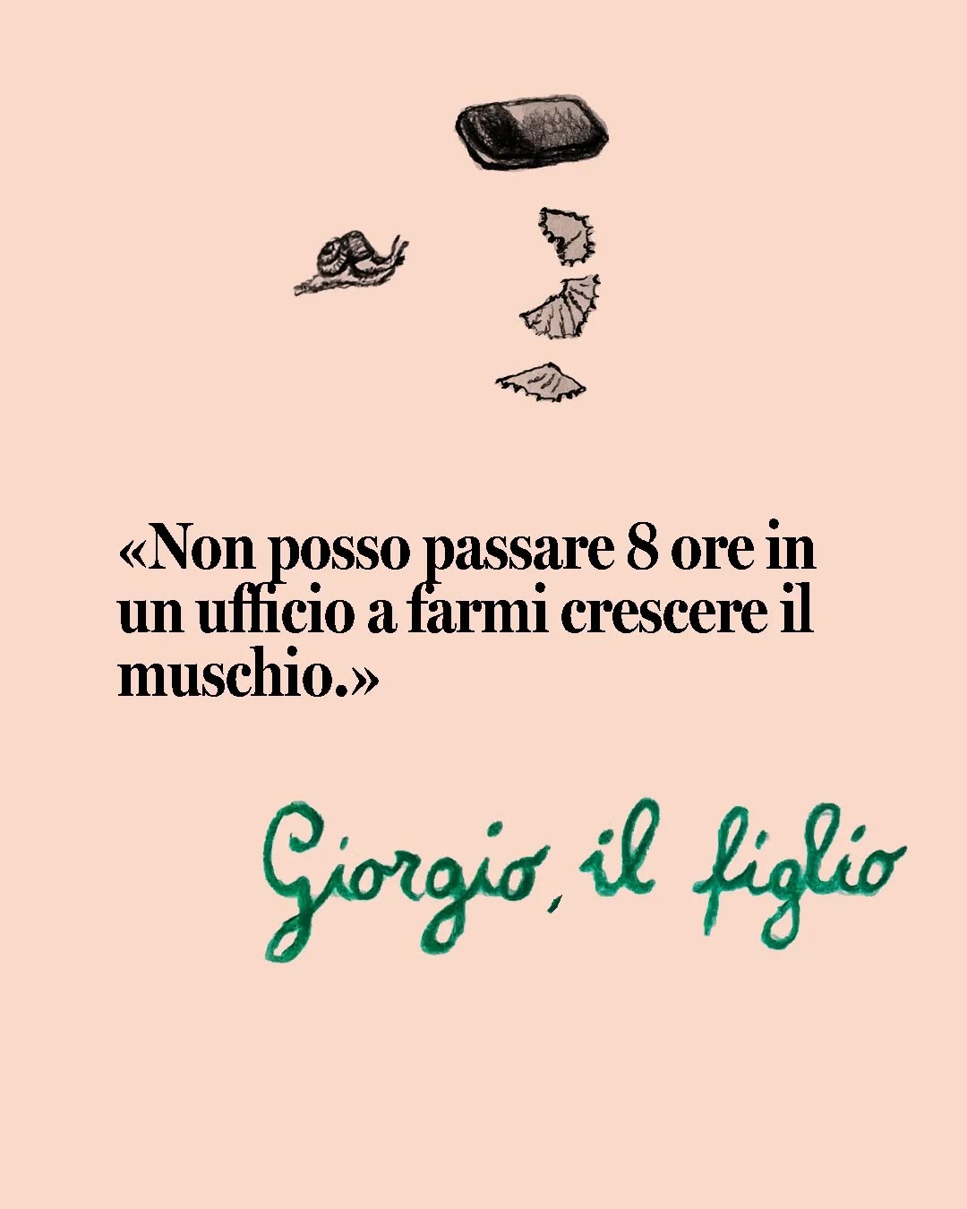 TEATRO COPPOLA - TEATRO DEI CITTADINI