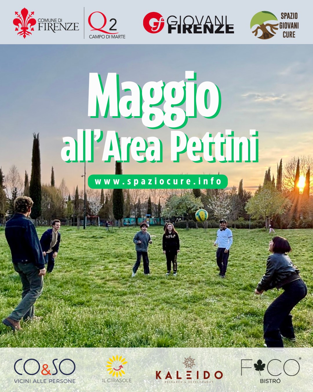 Area Pettini