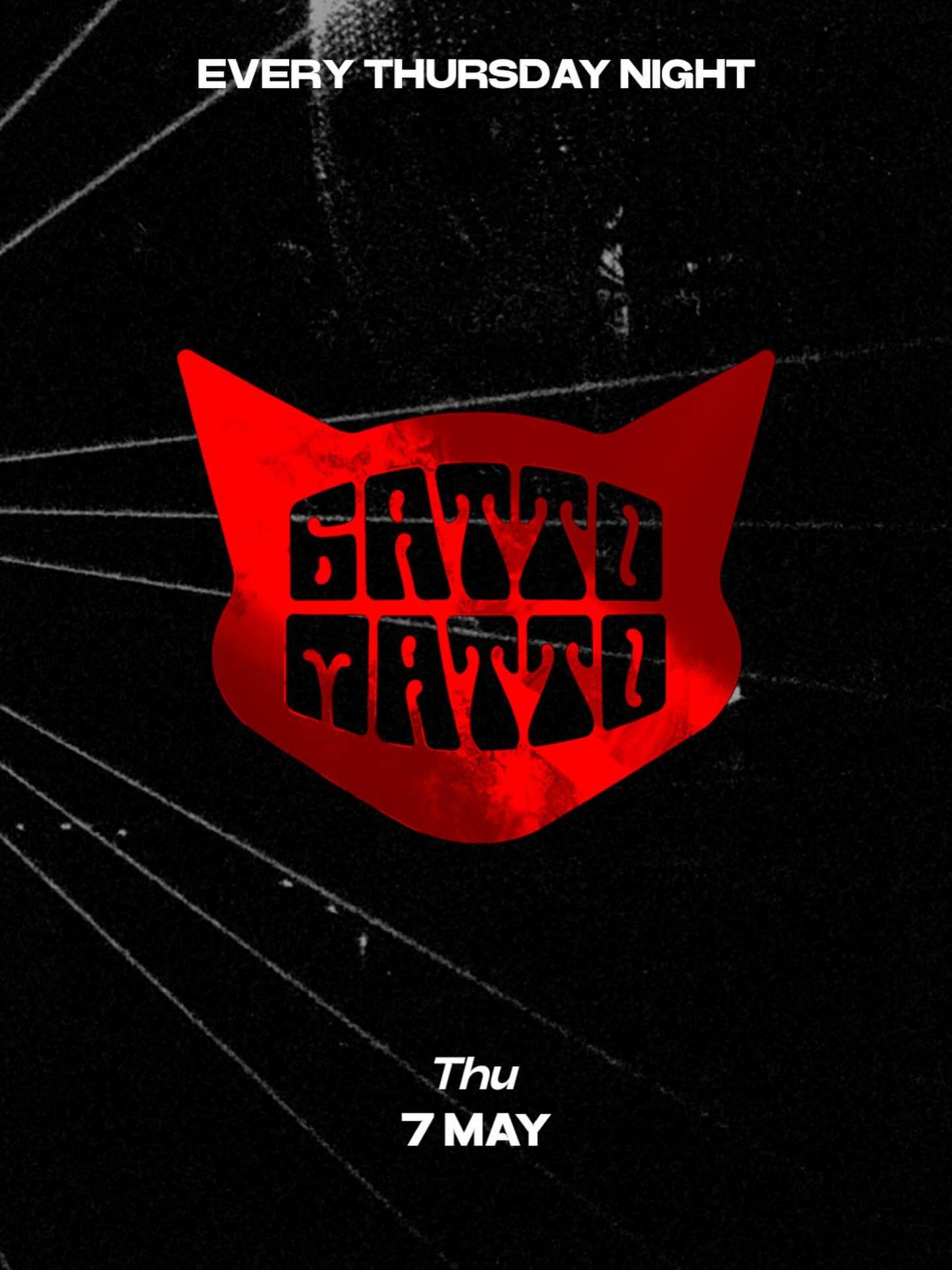 Gattopardo