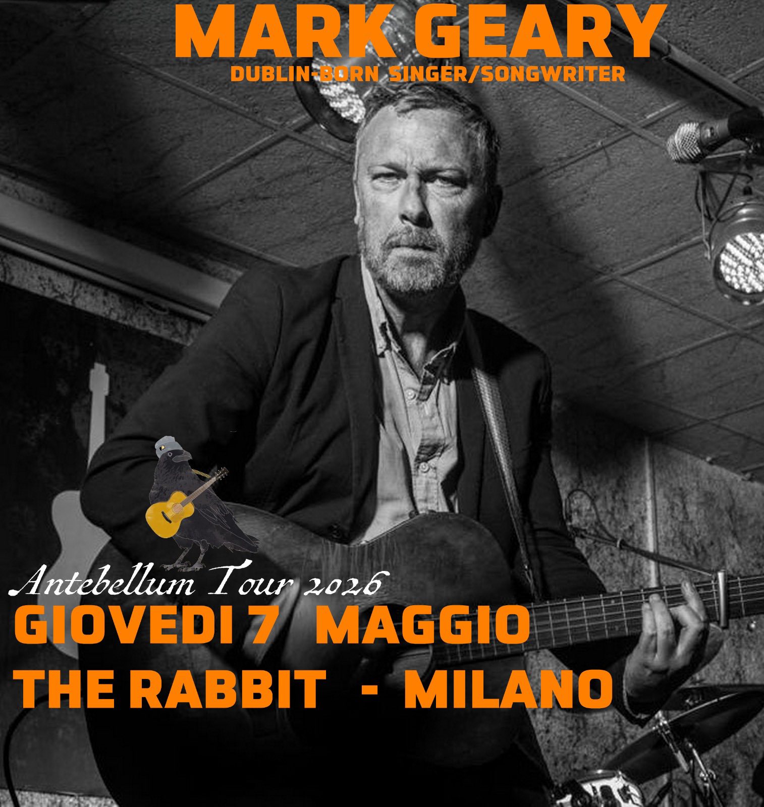 The Rabbit