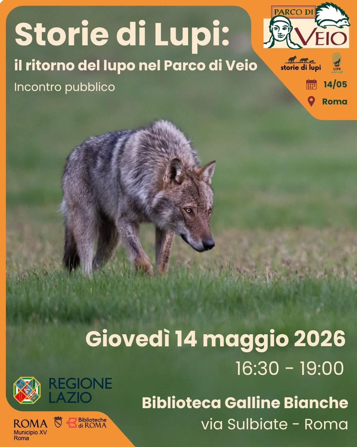 Biblioteca Galline Bianche