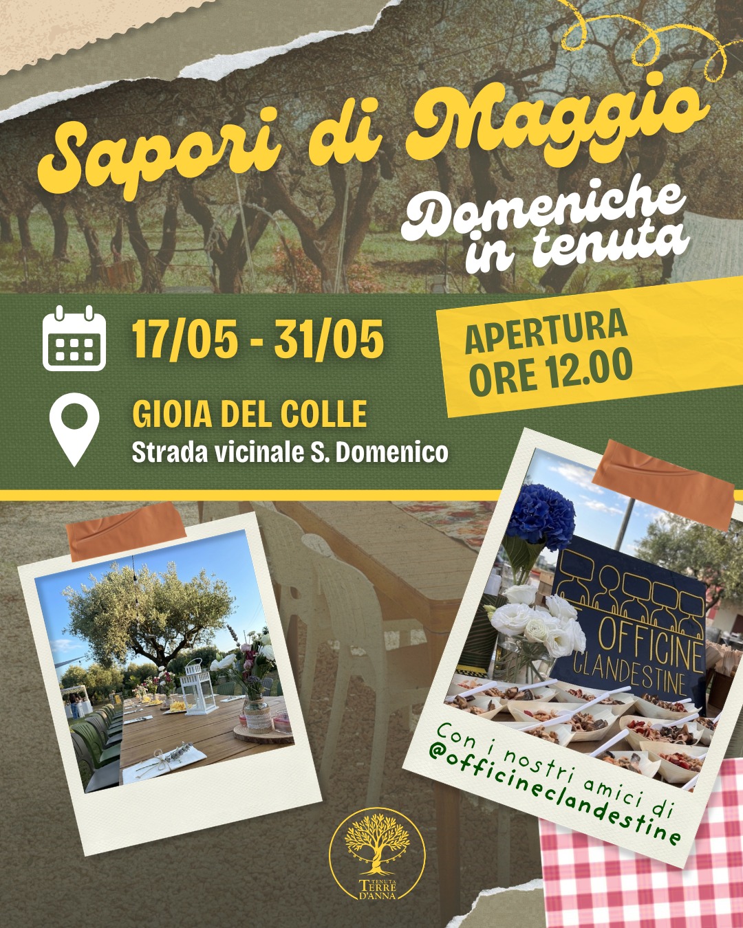 Tenuta Terre D’Anna
