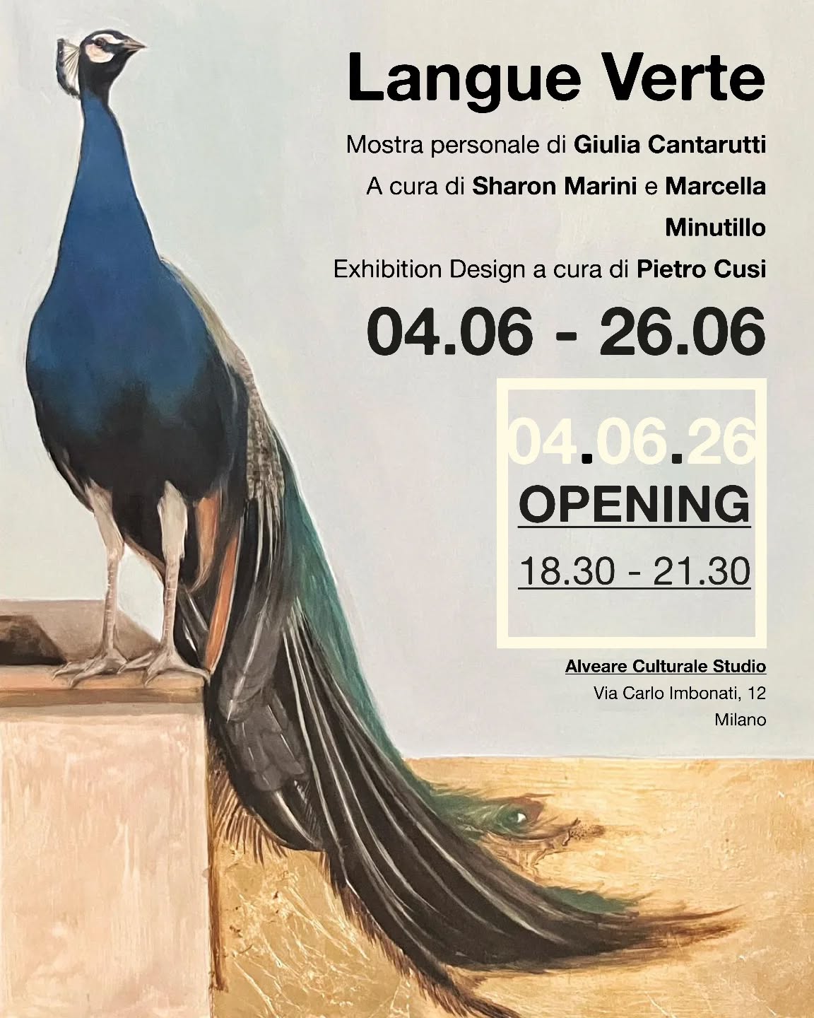 Alveare Culturale Studio