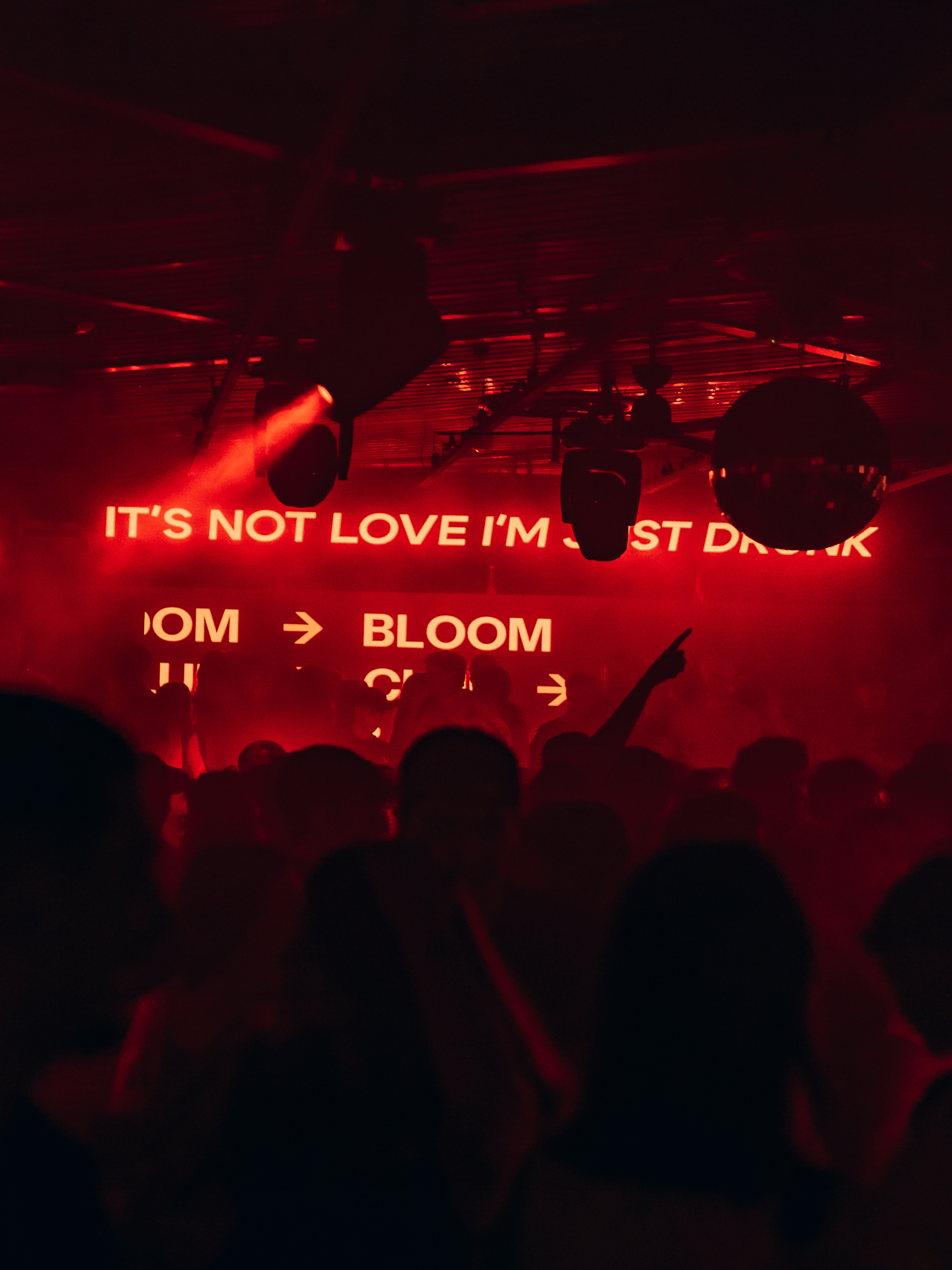 Bloom
