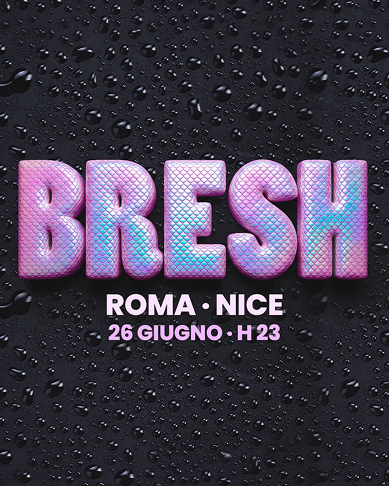Nice Disco