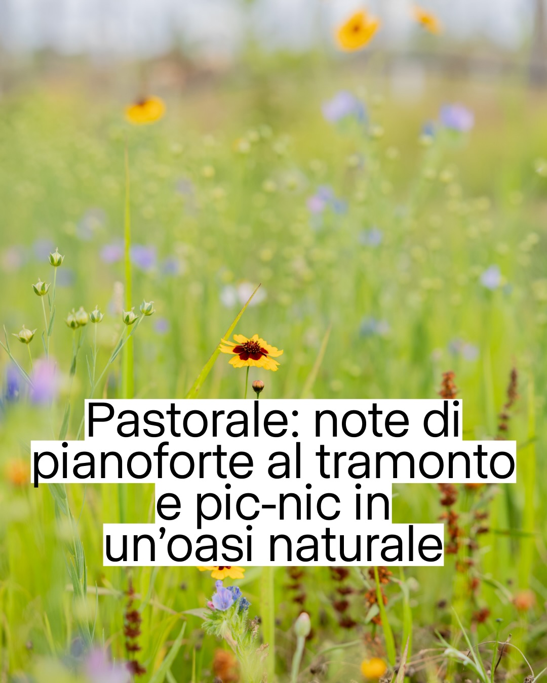 Oasi Ca' Granda