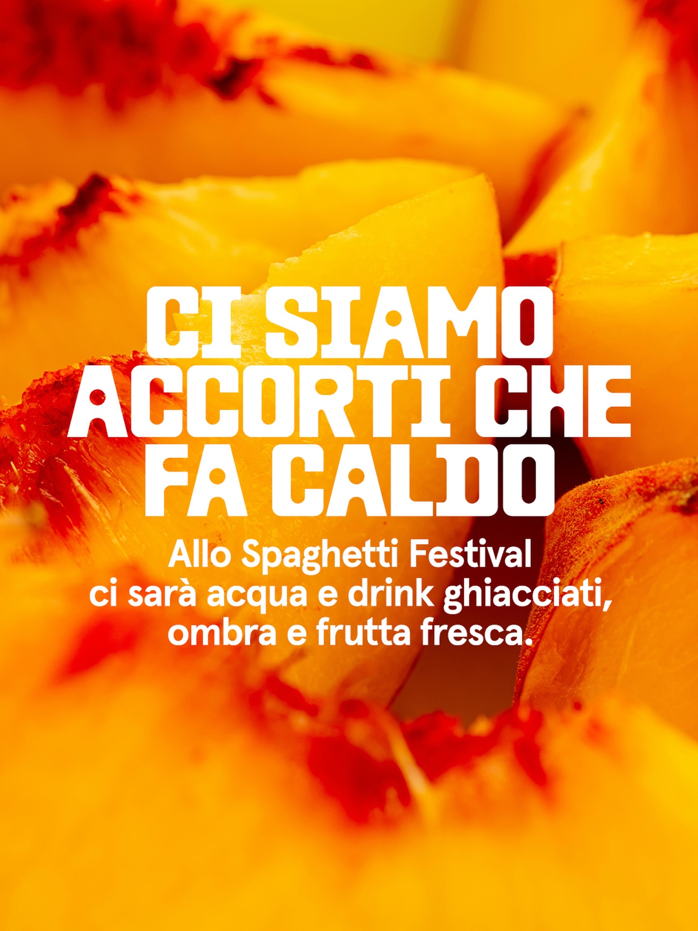 Spaghetti Festival