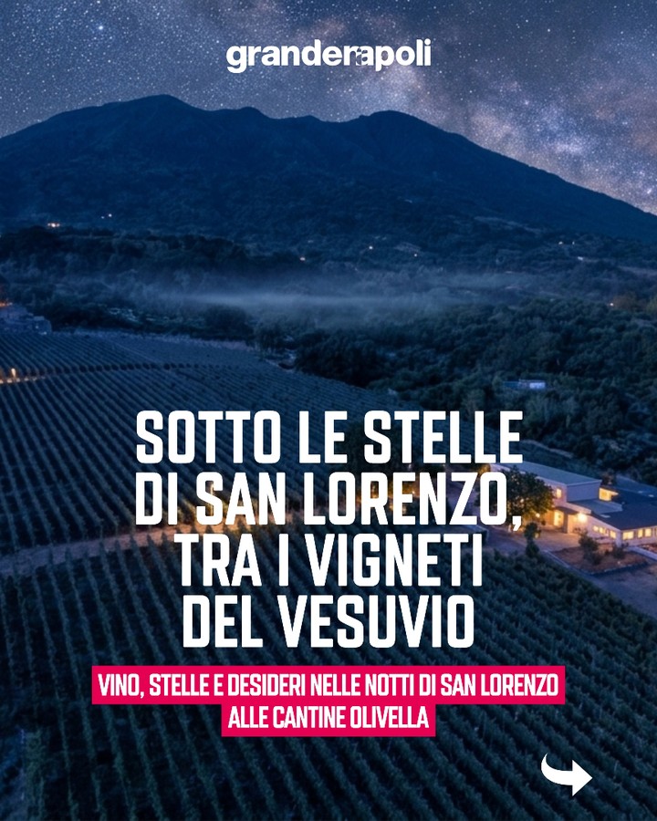 Cantine Olivella