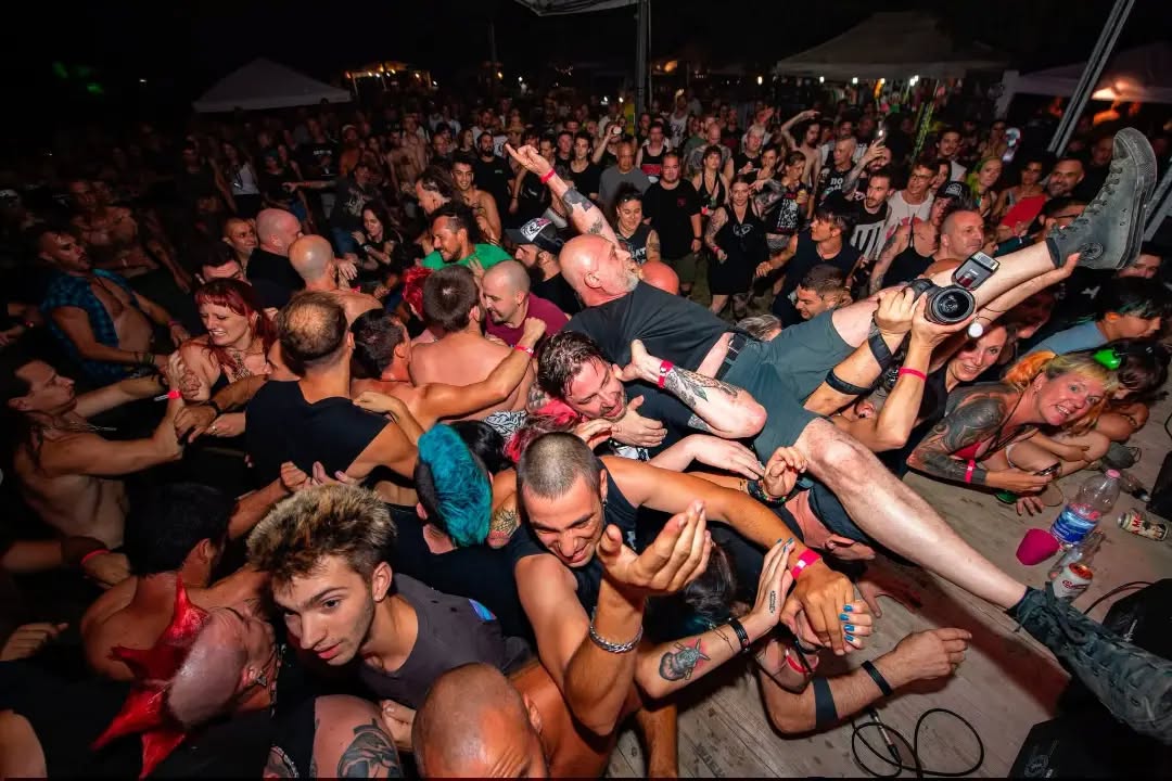 DLB Festival
